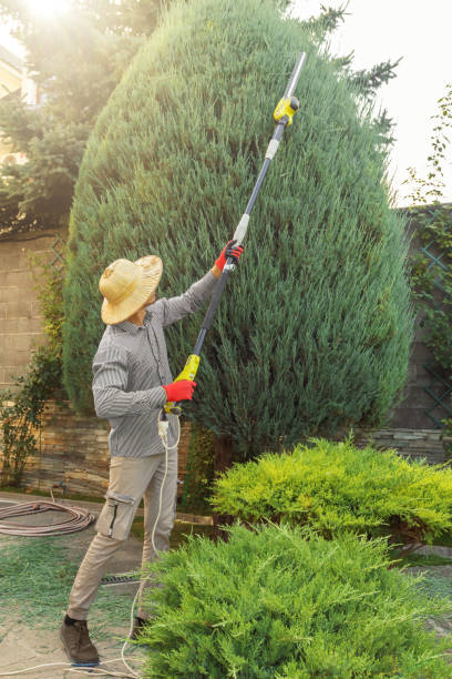 Best Lawn Pest Prevention  in Huron, CA